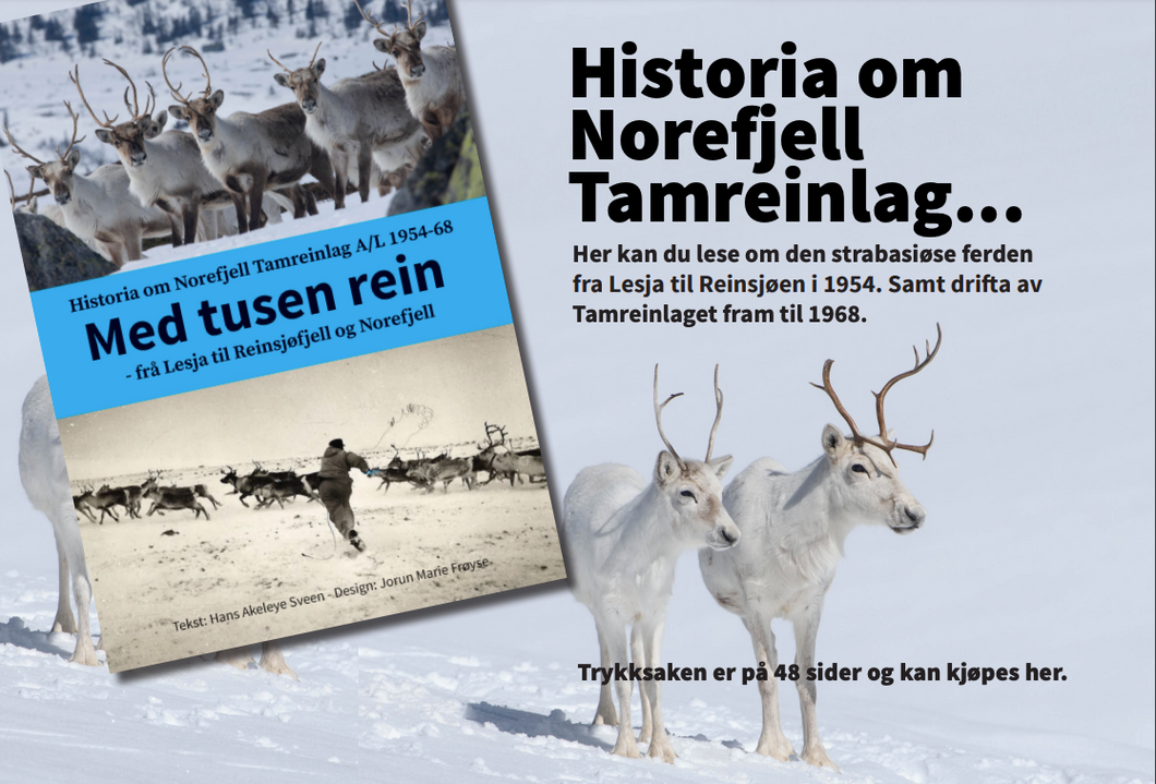 Historia om Norefjell Tamreinlag